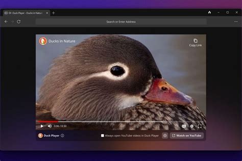 duckduckgo videos